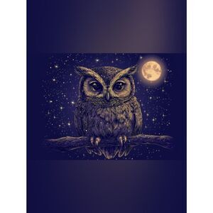 Night Sky Owl Custom Fridge Magnet Kitchen Home Decor